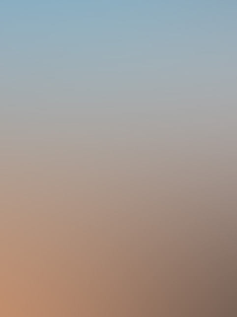 Книга Ирины Ицкович